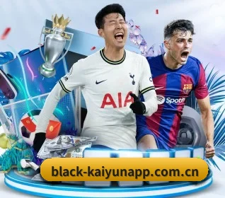 black-kaiyunapp.com.cn的方向